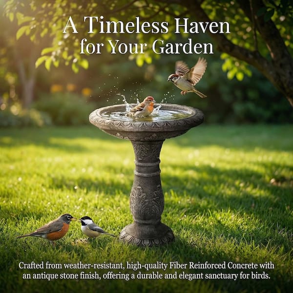 20 in. Dia Vintage Carved Cement Birdbath-Large Outdoor Pedestal Bird Bath for Patio, Garden, or Lawn