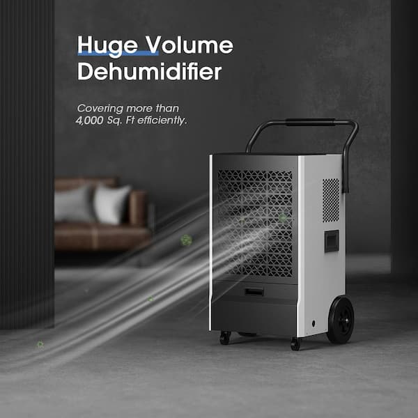 https://images.thdstatic.com/productImages/980da632-be17-4176-86c4-b130267d4575/svn/blacks-teamson-kids-dehumidifiers-ol-ry-50-a0_600.jpg