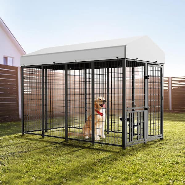 Miscool Avex Large Dog Kennel Outdoor Pet Pens Dogs Run