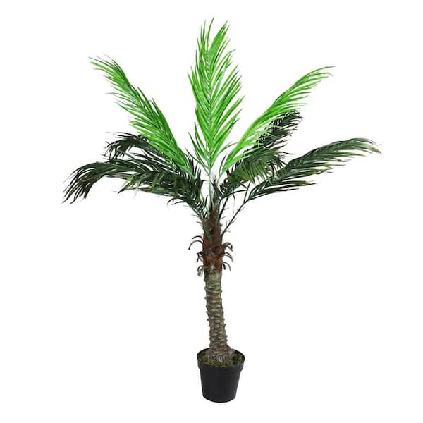 Northlight 58.5 in. Potted Brown and Green Artificial Phoenix Palm Tree
