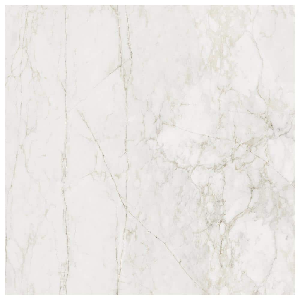 Signet Oro White 8 in. x 0.35 in. Marble Look Satin Porcelain Floor and Wall Tile Sample price history on PriceWatchPro