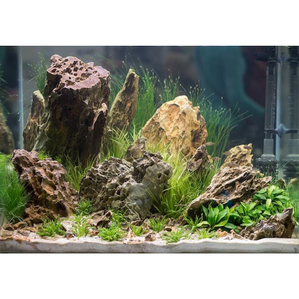 Dragon Stone Aquarium Rocks Amazing Ohko Stones to Create The Perfect  Habitat for Your Aquarium or Terrarium (20 lbs.) 0040002 - The Home Depot