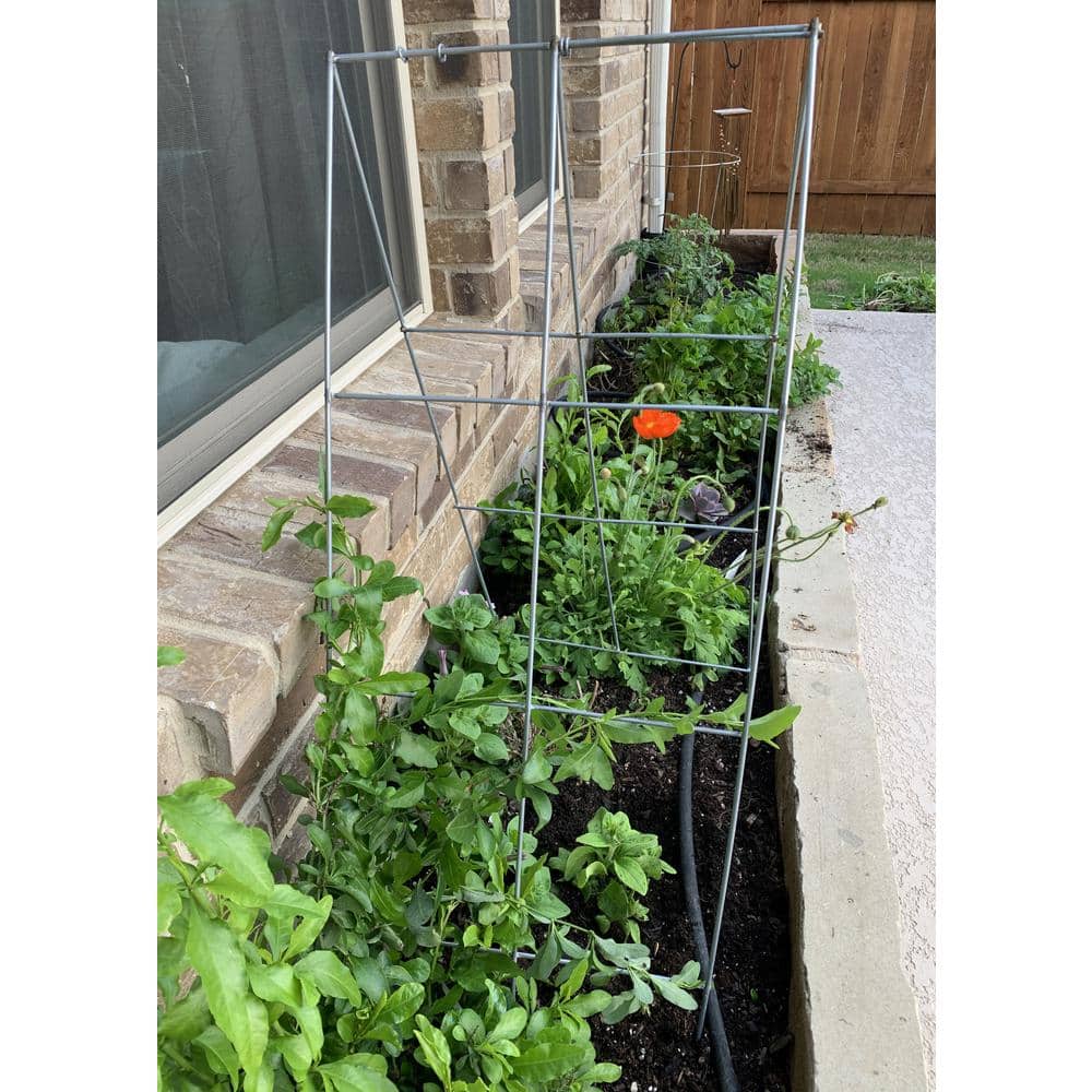 42" Silver Heavy Duty Steel A-Frame Plant Support Cage (5-Pack)