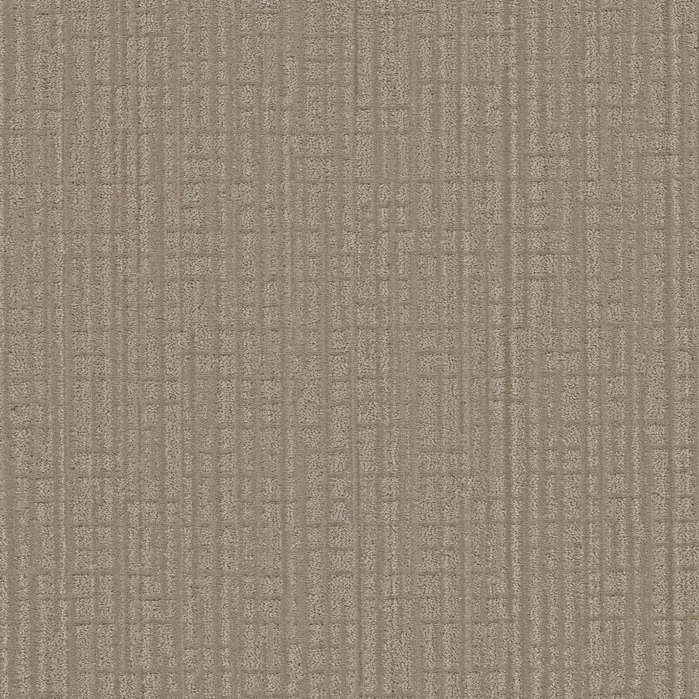 8 in. x 8 in. Pattern Carpet Sample - Zinnia - Color Latte price history on PriceWatchPro