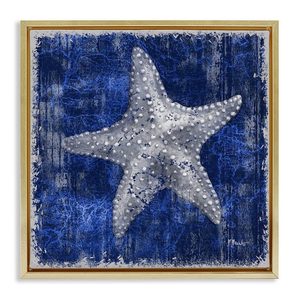 Rustic Indigo Starfish by Paul Brent Gold Floater Frame Coastal Graphic Art Print 25 in. x 25 in. price history on PriceWatchPro