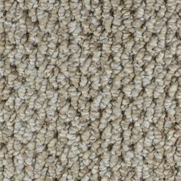 TrafficMaster 8 in. x 8 in. Loop Carpet Sample - Follow Up -Color Stanton