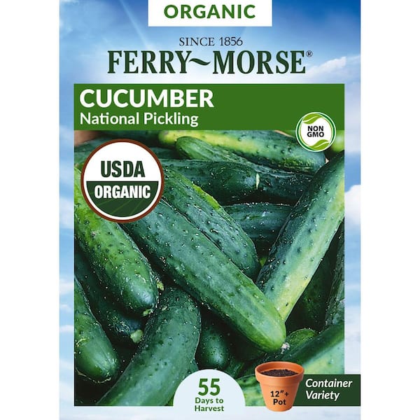 Organic Cucumber National Pickling Fruit Seed