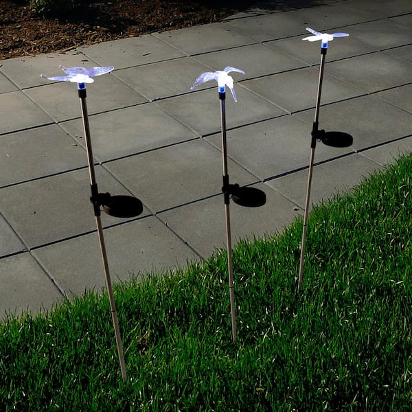Pure Garden Solar Powered Stainless Steel Butterfly, Hummingbird, and  Dragonfly Outdoor Integrated LED Landscape Path Light M150078 - The Home  Depot