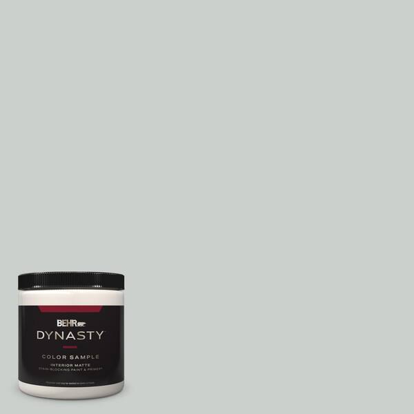 BEHR DYNASTY 8 oz. #HDC-MD-06G Sparkling Silver Matte Stain-Blocking Interior/Exterior Paint and Primer Sample