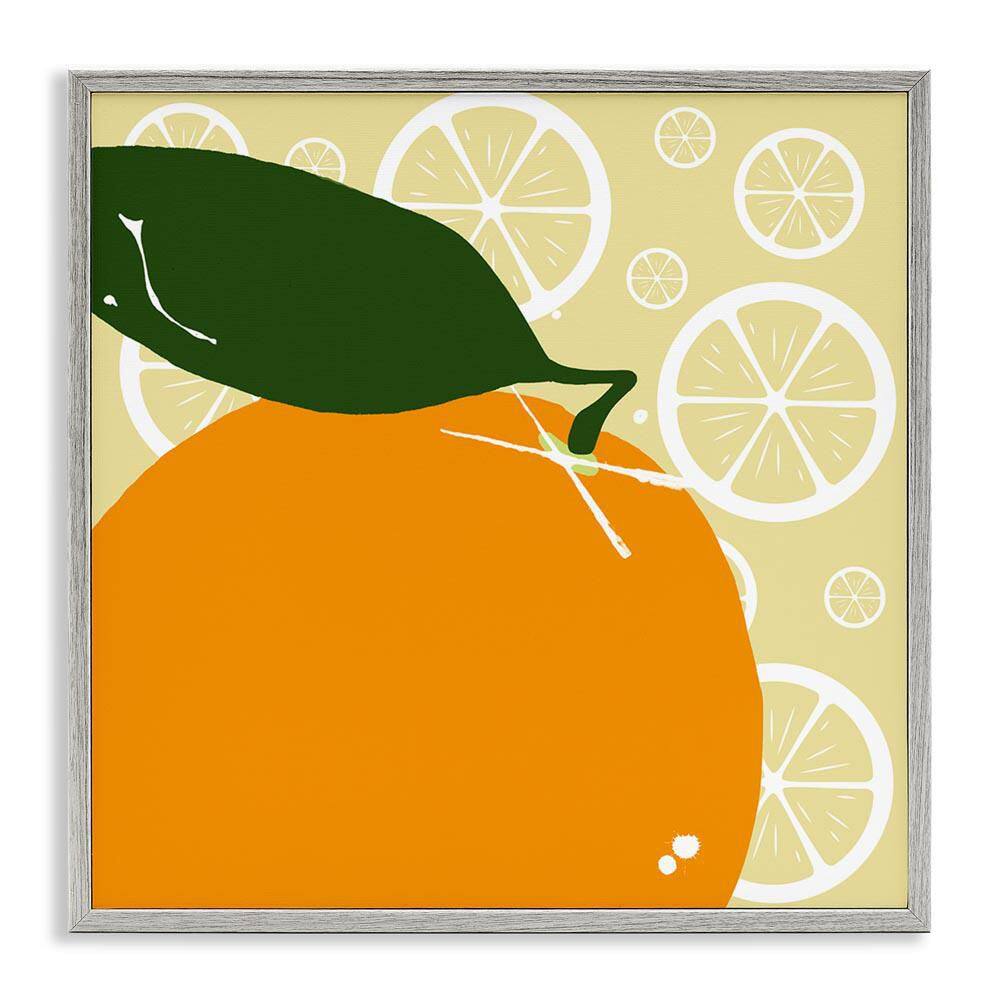 Bright Orange Fruit by Daniela Santiago Gray Framed Food Giclee Art Print 24 in. x 24 in. price history on PriceWatchPro