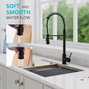 ABAD Single-Handle Pull-Down Sprayer Kitchen Faucet with Spring Coil Arm in matte black