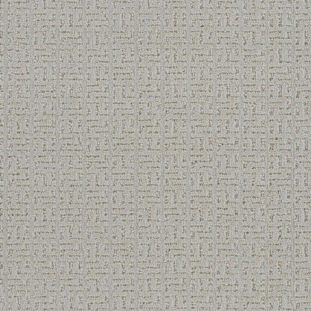 8 in. x 8 in. Loop Carpet Sample - Earthy Editions - Color Star price history on PriceWatchPro