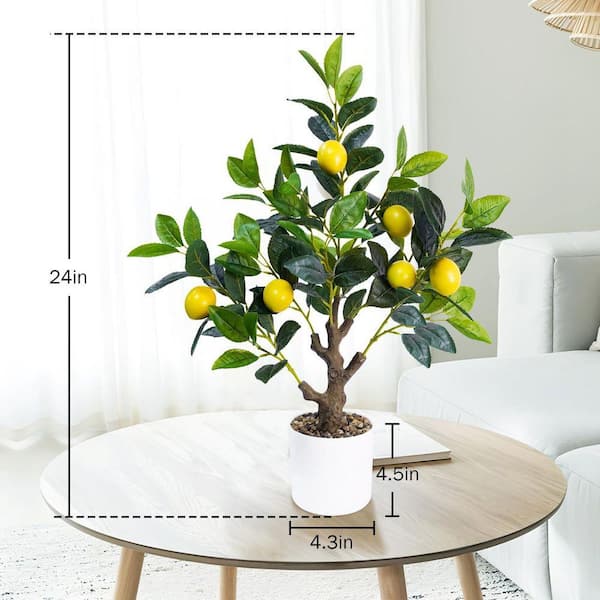 2 ft. Artificial Lemon Tree in White Planter with Stones WK0760