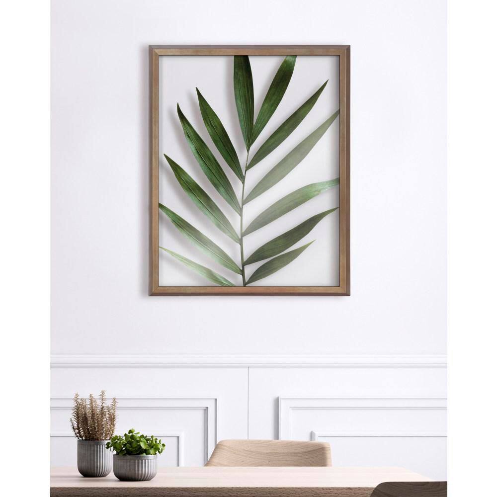 Gold Framed Botanical Print on Glass, 16" x 20"