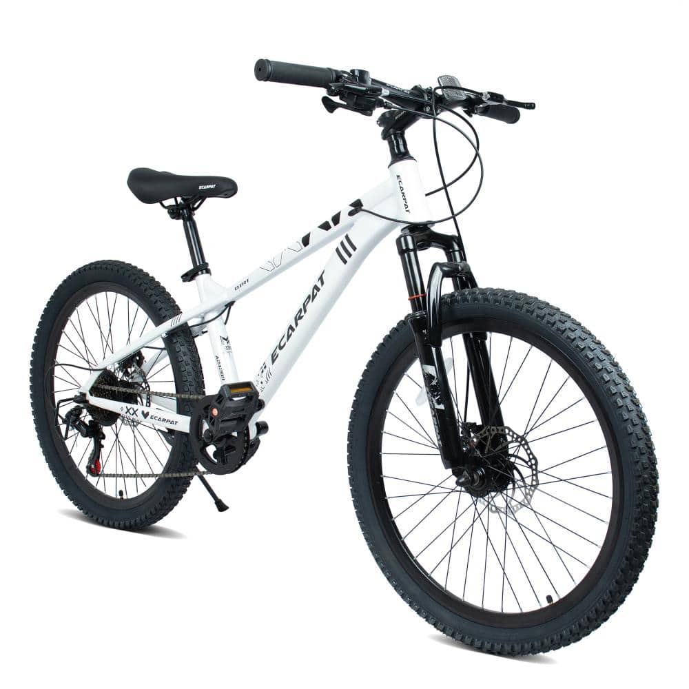 24 in. 21-Speed Adult Mountain Bike with Steel Frame, Dual Disc Brakes, Front Suspension, White price history on PriceWatchPro