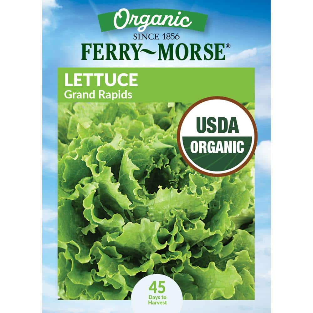 Ferry-Morse Organic Lettuce Grand Rapids Tipburn Resistant
