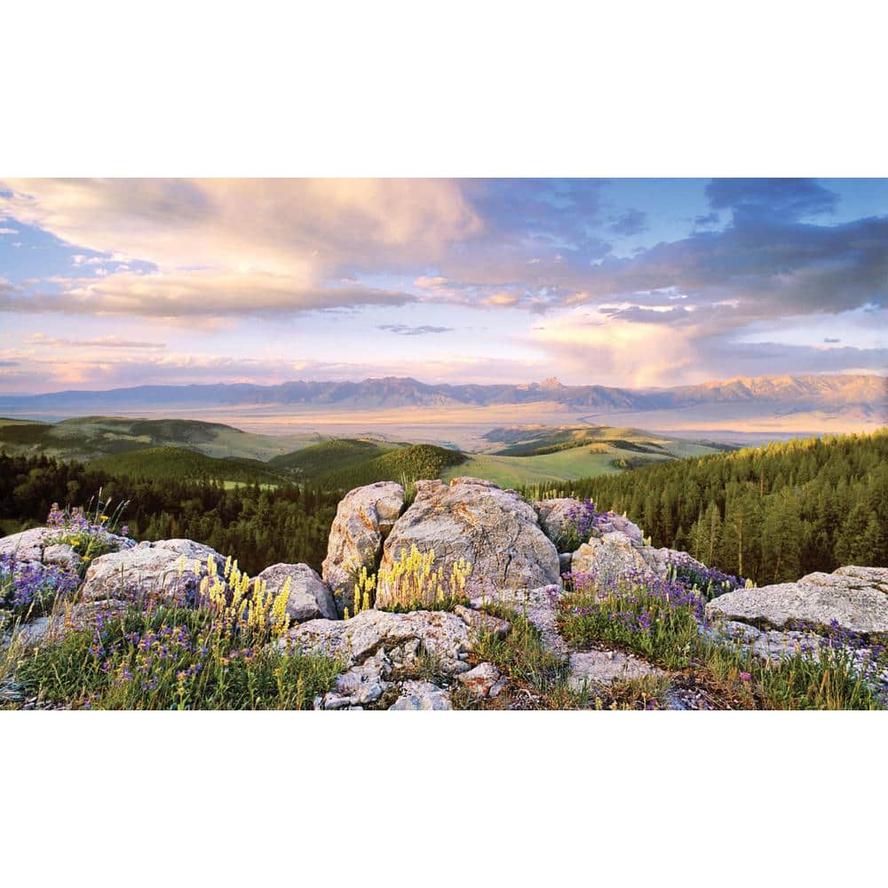 Sunrise View - Weather Proof Scene for Window Wells or Wall Mural - 120 in. x 60 in price history on PriceWatchPro