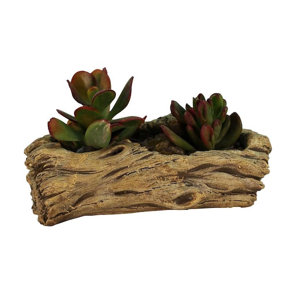 Unbranded 7 in. x 3.75 in. x 2.5 in. Driftwood Ceramic Wood Plant Pot - Unique Succulent Planter Knotted Log
