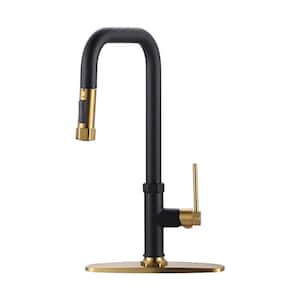 Single Handle Pull Down Sprayer Kitchen Faucet with Pull Out Spray Wand in Gold and Black