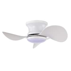 Niamh 24 in. 1-Light Indoor White Finish Ceiling Fan with Light Kit