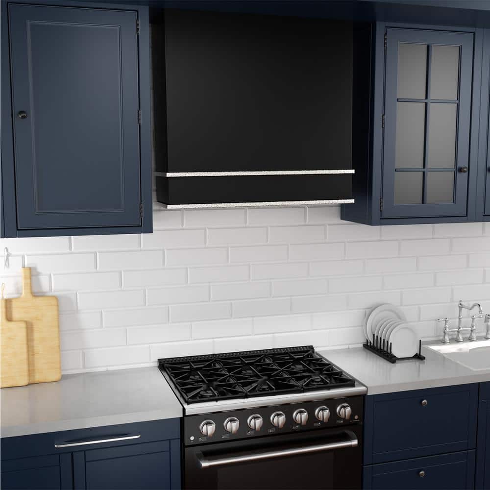Akicon 30'' Stainless Steel Wall Mounted Range Hood with Charcoal Filter