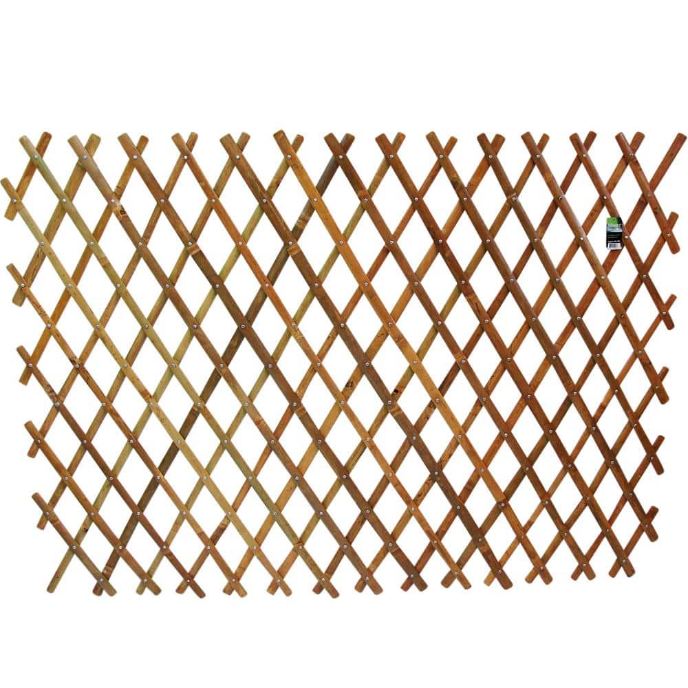 60 in. H x 72 in. W x 1 in. L Expandable Bamboo Trellis price history on PriceWatchPro