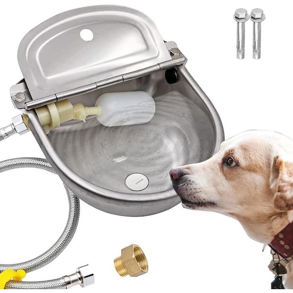 N/A Automatic Large Pet Water Bowl Dispenser Stainless Steel
