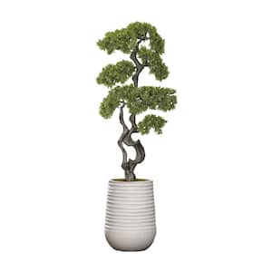 Vintage Home Artificial Faux Bonsai Tree 61 in. High Fake Plant Real Touch with Stylish Plastic Planter