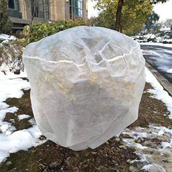 Agfabric Plant Cover Cold Weather Frost Shrub Breathable Sapling Protective Bag 