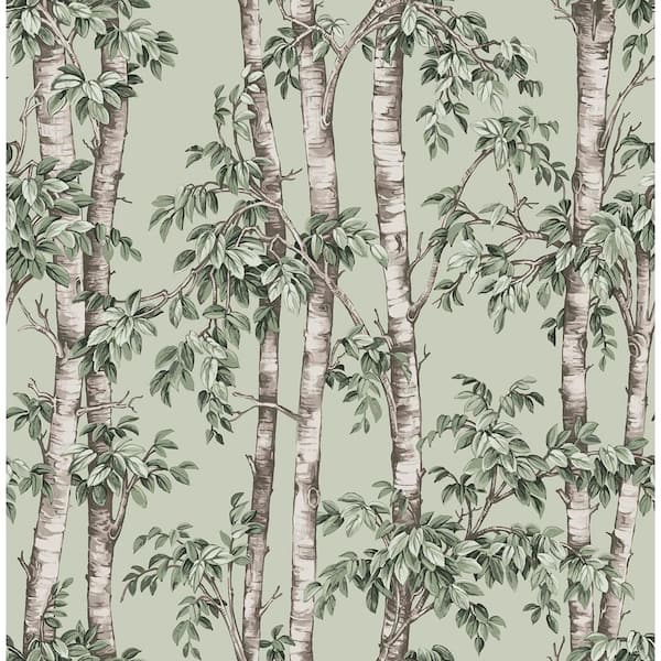 Custom Mural Wallpaper Tropical Fern Plant Green Leaf | BVM Home - View #11