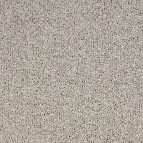Lifeproof with Petproof Technology Northern Hills I Highland Grey 39 oz. Blend Texture Installed Carpet