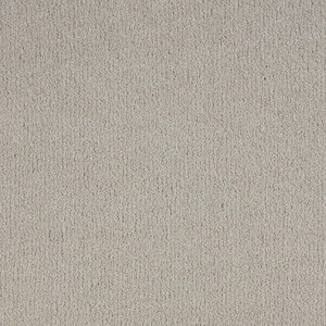 Northern Hills I Highland Grey 39 oz. Blend Texture Installed Carpet