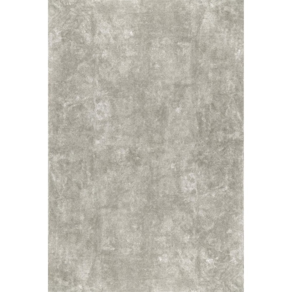 Loni Solid Machine Washable Shag Beige 4 ft. x 6 ft. Area Rug