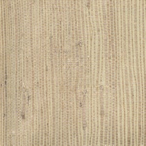 Kostya Beige Grasscloth Beige Wallpaper Sample