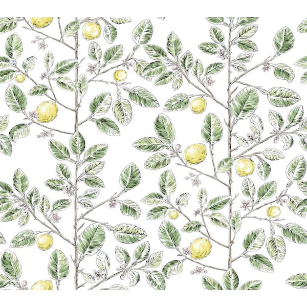 York Wallcoverings Limoncello Toile Green Wallpaper Roll