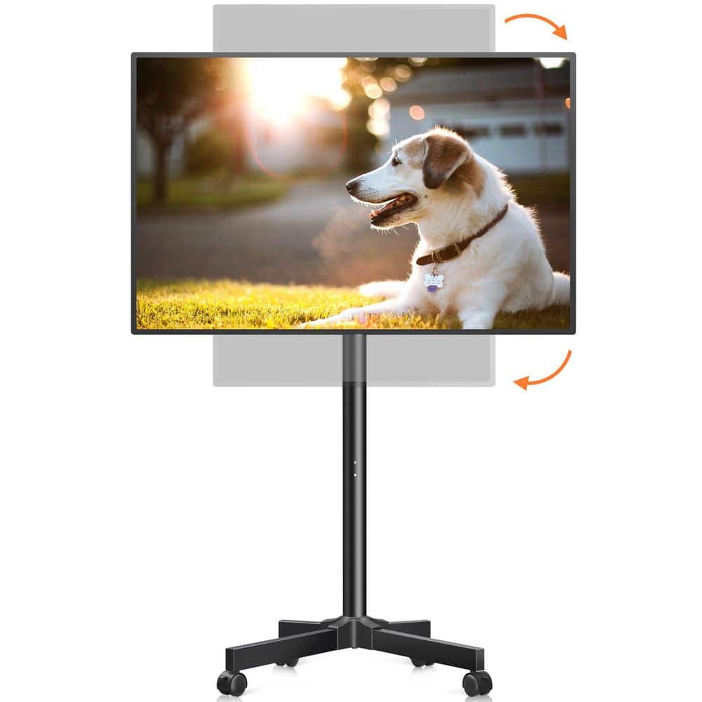 Black Standalone Mobile TV Cart with Rotating Height-Adjustable Wall Mount for 13 in.-50 in. TVs, 44 lb. Capacity price history on PriceWatchPro