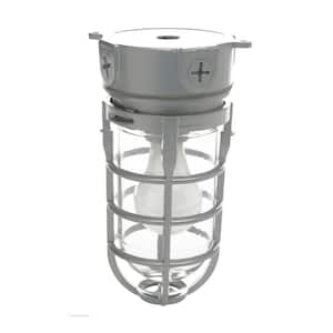 Industrial 1-Light Gray Outdoor Weather Tight Flushmount Light Fixture