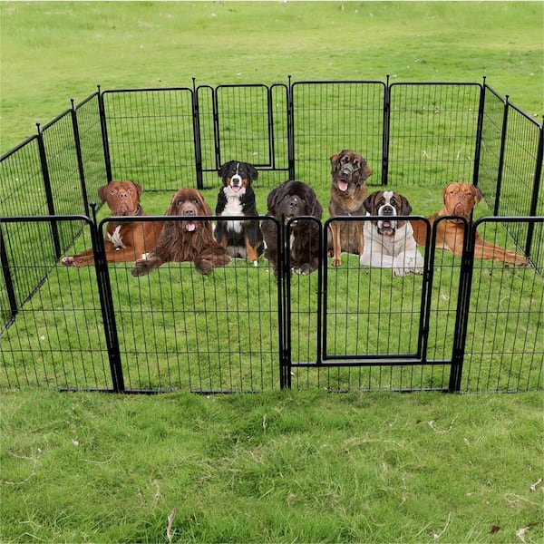 Cisvio 32 in. Metal Fence 2-Doors Dog Playpen Puppy Playpen for Medium  Small Dogs Outdoor Pet Playpen 16 Panels Exercise Pen USPG-DPP001 - The  Home Depot