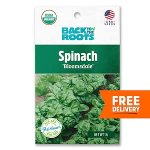 Organic Bloomsdale Spinach Seed (1-Pack)
