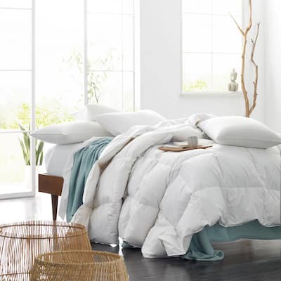 Light Warmth White Full Down Comforter with Organic Cotton Cover