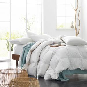 Legends® Hotel Organic Cotton Down Comforter