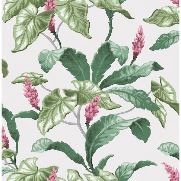 Brewster Home Fashions Meridian Parade Green Tropical Leaves Strippable Non-Woven Paper Wallpaper