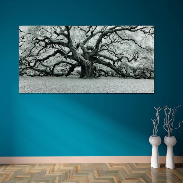 The Angel Oak Frameless Free Floating Tempered Art Glass by EAD Art Coop Wall Ar