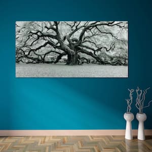 The Angel Oak Frameless Free Floating Tempered Art Glass by EAD Art Coop Wall Ar