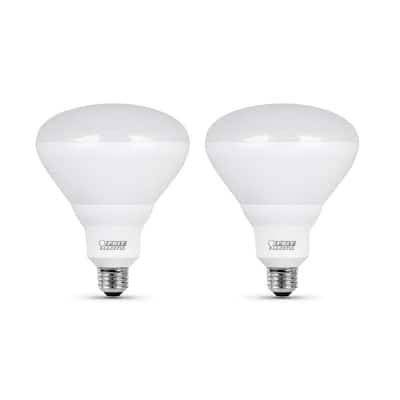 BR40 - LED Light Bulbs - Light Bulbs - The Home Depot