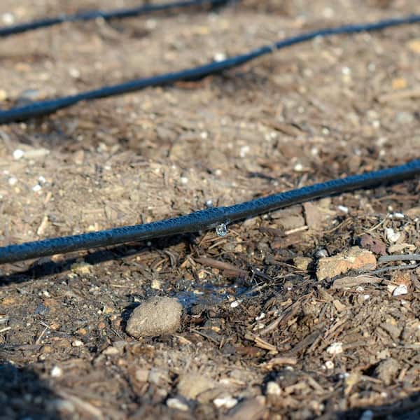 1/4 in. x 100 ft. Dripline with 12 in. Emitter Spacing