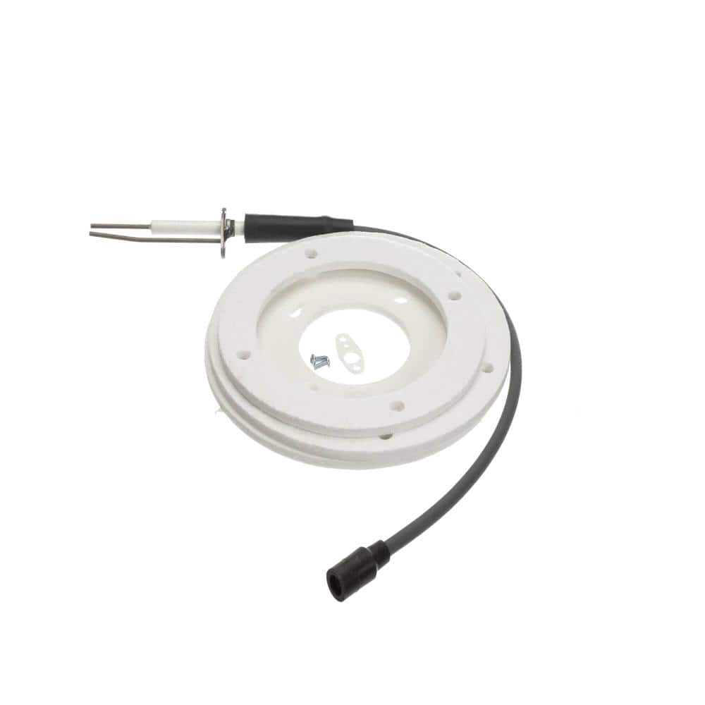 AO Smith Ignitor Assembly Series 2 100191120 price history on PriceWatchPro