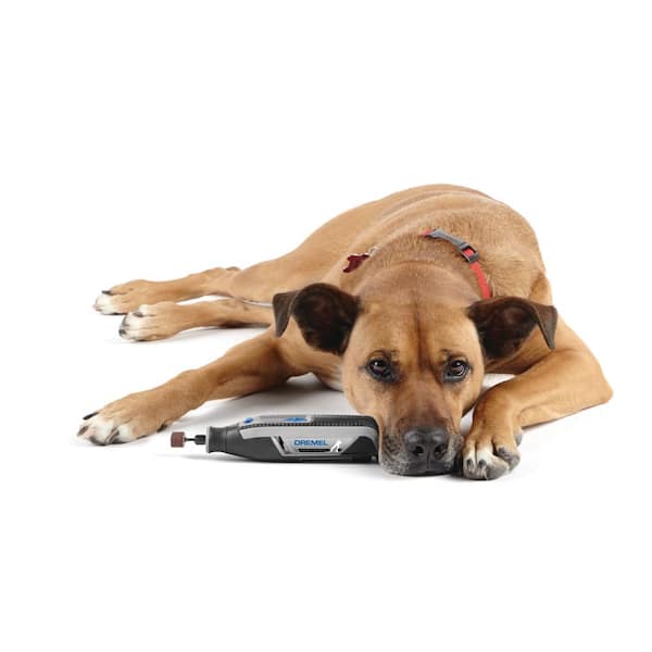 Dremel 7760-PGK PawControl Dog Nail Grinder for sale online