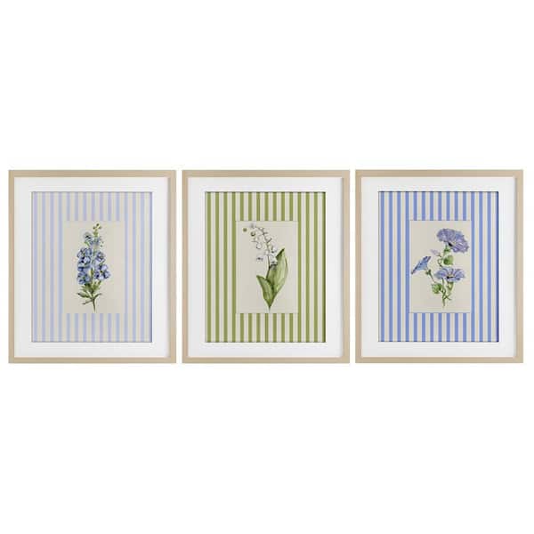Soft Stripe Cottage Blooms by Lisa Wehmeyer 3 Piece Birch Framed Country Graphic Art Print 21 in. x 17 in.