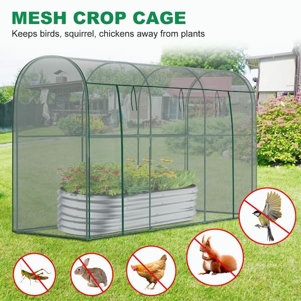 ABORON Crop Cage for Garden Plant 9.9 x 3.3 x 6 ft. Wind-Resistant